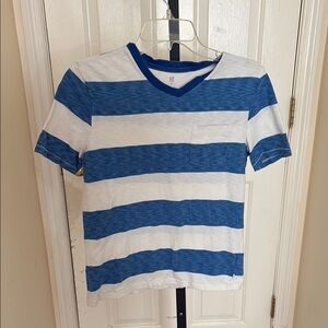 Blue and White Striped V-Neck T-Shirt